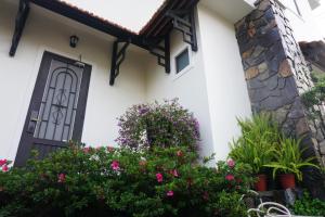 The 1954 House