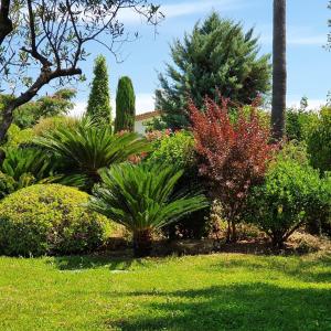 Le Domaine des Mûriers - charme, chic, calme en Provence Côte dAzur