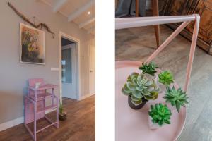 Stijlvol ingerichte bungalow in Baarland