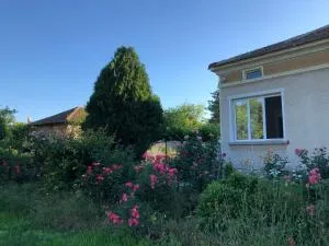 Rose garden - Prilep