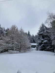 Idyllisches Ferienhaus am Wald