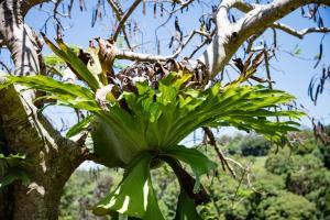 Farm Stay - Tweed Coast Holidays®