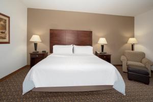 Standard Room room in Holiday Inn Express Hotel & Suites Lander an IHG Hotel