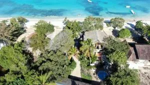 Tropic ecolodge - Las Flores Tropic ecolodge - Las Flores