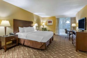 Standard King Room - Non-Smoking  room in Clarion Inn & Suites
