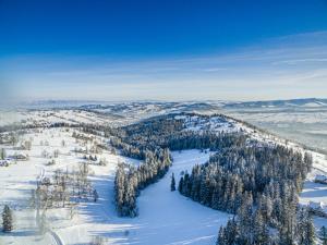 Domki u Bobaków