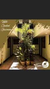 HOTEL FLAMINGOS DE CIUDAD GUZMAN