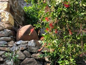 Garden House - Lovely Stone Built House with Hidden Terrace Chios-Island Greece