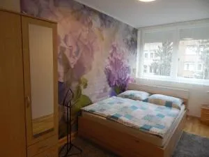 Boros Apartman - Cák