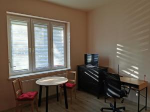 Little Big Red - Central Modern Studio