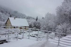 Chalets Chalet Loulou, massif central, Le Mont-Dore : photos des chambres