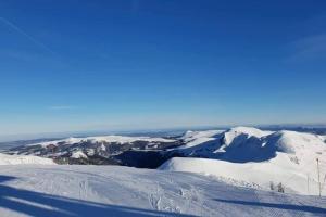 Chalets Chalet Loulou, massif central, Le Mont-Dore : photos des chambres