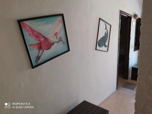 Casa Ohana-Disfruta del paraiso