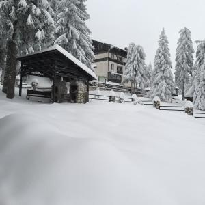 Casa de Vacanţă Vârtop