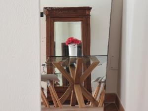 Open Space Rose img16