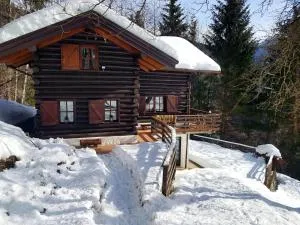 Chalet “In dai Guriuz” - Paularo