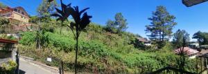 Amara Transient House - Homestay