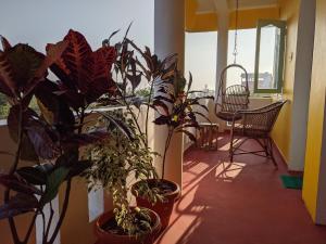 Blue Moon Guest House