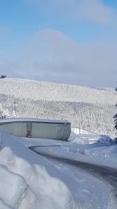 Ferienwohnung Grunwald