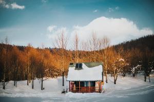 Koliba Šume Pjevaju - robinzonski smjestaj, struja 12 V, voda iz cisterne