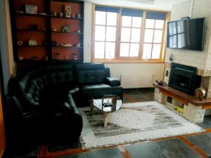 Vila Panić Zlatibor