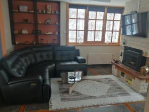 Vila Panić Zlatibor