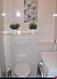 Apartament koło Łeby GreenLemon