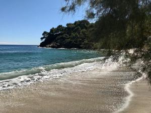 Appartements Villa les Alizes : photos des chambres