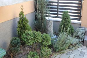Double Room room in Villa Zrina