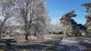 Chalets Reves de Bois : photos des chambres