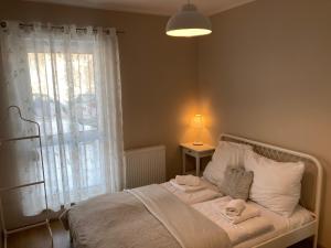 Apartament "Hotelik"