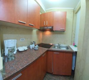 Grand Central Accomodation Doamnei2