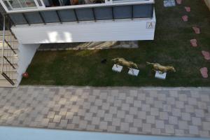 Family Apart-Hotel "2022"- 3