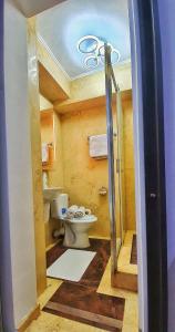 Apartment room in Grand Central Accomodation Doamnei2