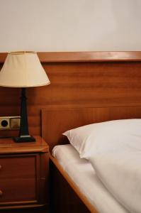 Single Room room in Hotel Pension Lumes