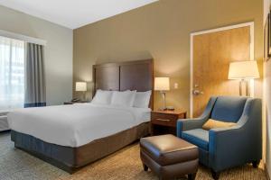 Business King Room - Non-Smoking room in Comfort Inn Mechanicsburg – Harrisburg South