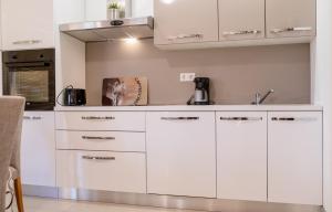 Apartments Vladimir Palit