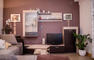 Apartments Vladimir Palit