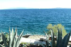 Apartments Lukić 1944