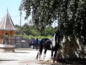 Les Chambres du Manoir photo 6