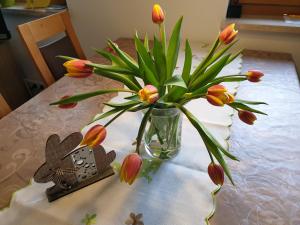 Apartment with Terrace room in Panorama Ferienwohnungen Thiem