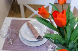 Stara Kala Varos Apartment