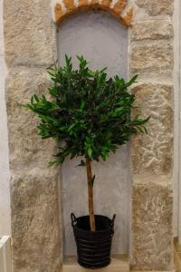 Stara Kala Varos Apartment