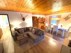 Haus Trynsch Flumserberg - Flumserberg