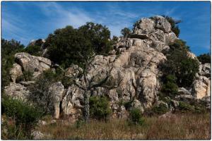 Agriturismo Testone img35