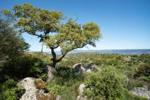 Agriturismo Testone img40