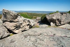 Agriturismo Testone img42