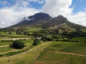 Le Pommier Wine Estate