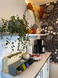 B&B / Chambres d'hotes Lou Candelou : photos des chambres