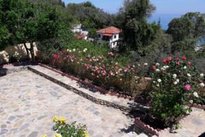 Eleni's House Chorefto Pelion Greece